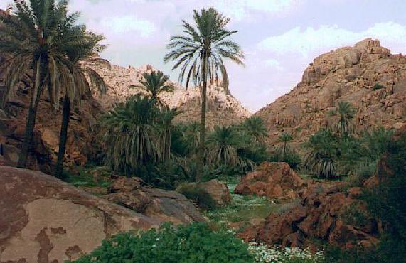 26300095's tweet photo. بستوقفك ياشمس عندي لك سؤال
يمكن جوابه شي ضمن المستحيل

يطري علي بالي ليا مال الظلال
وهب النسيم وداعب أطراف النخيل

ليه القطاعه يوم أنا كلي وصال
وليه الحزن خيم على وقت الرحيل

يافاتنه يا أم الحلا وأم الدلال
وأم العيون الناعسه ليلك طويل

تعبت أفكر وانتظر طول الليال
وأغرف من بحور الشعر قاف جزيل

ياكم بكت عيني على روس الجبال
وأبديت مكنوني وأنا قلبي عليل

ياغايتي يامنيتي في كل حال
ماتدري إن مالك بها الدنيا مثيل

إبنتظر منك جوابك للسؤال
حتى لو أنه شي ضمن المستحيل

#ثنيان_العركي 

#بوح_آخر_الليل 
#بوح_المشاعرㅤ