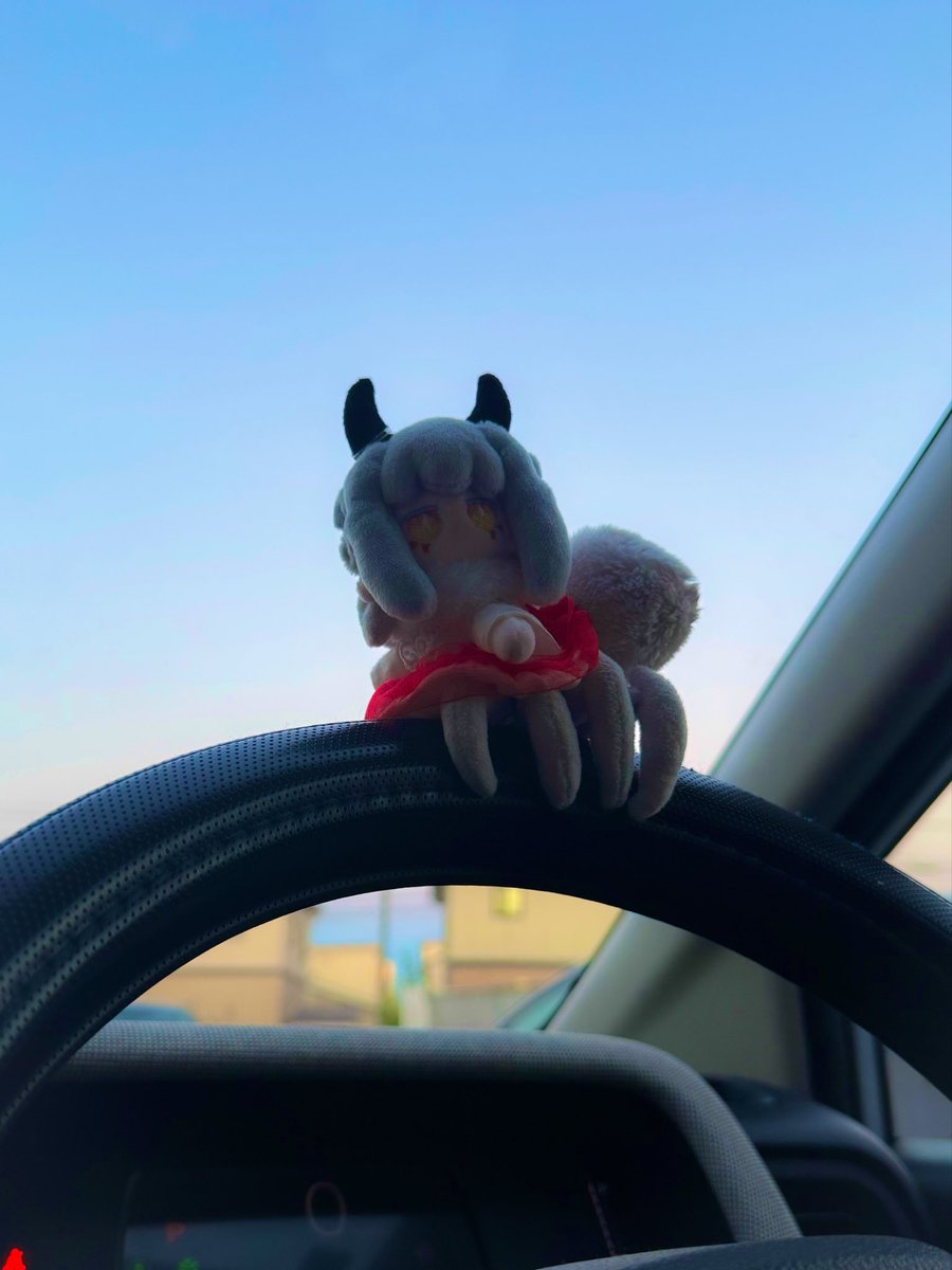 dosei_kooboo's tweet photo. 🚗🕷️

#どせい紀行　#ぬい撮り https://t.co/KmGmhua0Z7