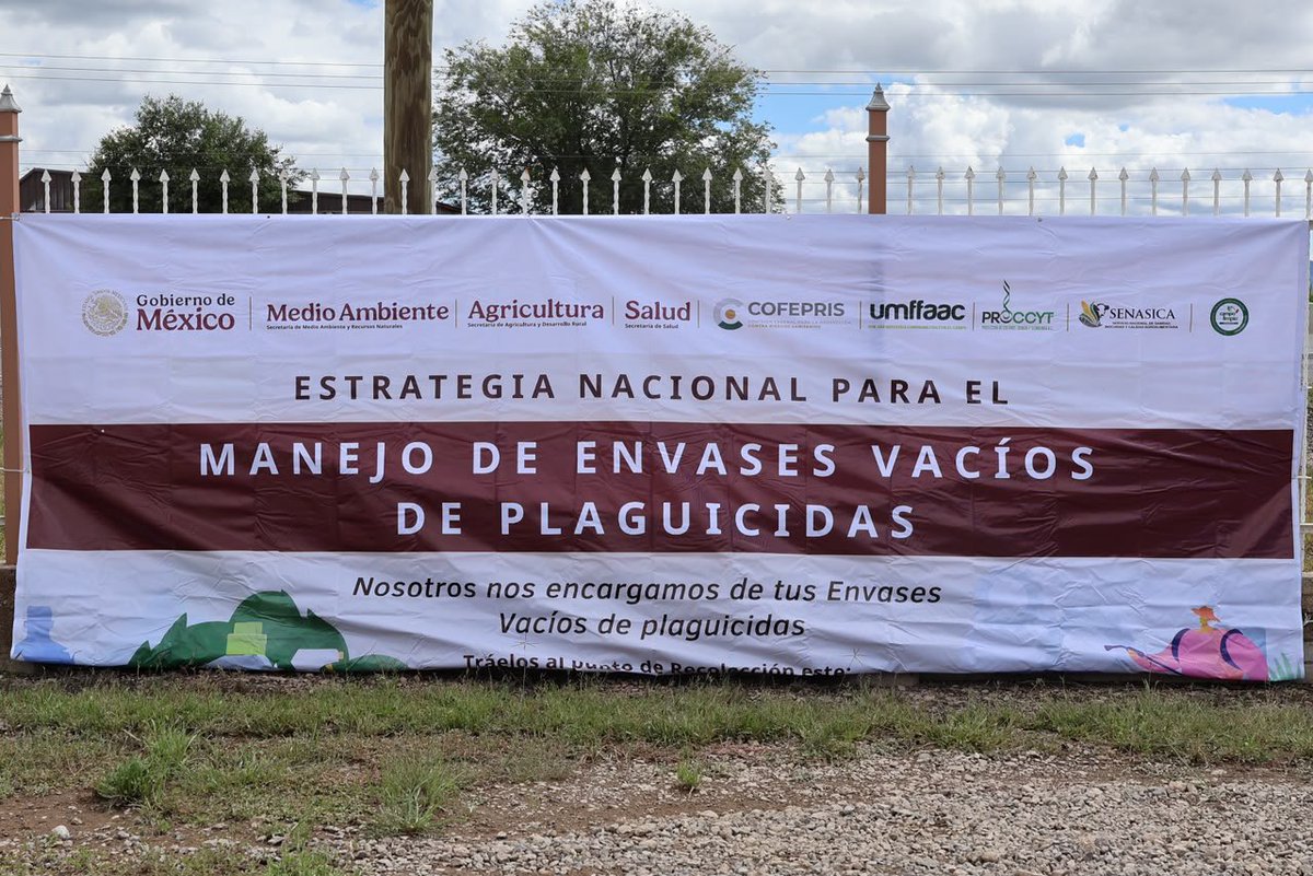 GSandovalSalas's tweet photo. Menos residuos de plaguicidas mal manejados significa menor riesgo de contaminación para el suelo, el agua y nuestros ecosistemas.
Por ello, en Cuauhtémoc, #Chihuahua, seguimos fortaleciendo la coordinación para mejorar la recolección, transporte y disposición responsable de los envases vacíos de estos productos.
Personal de nuestra Oficina de Representación de @SEMARNAT_mx participó junto con autoridades y representantes del sector empresarial en una reunión de la Estrategia Nacional para el Manejo Adecuado de Envases Vacíos de Plaguicidas, donde se compartieron experiencias y propuestas para avanzar en su manejo adecuado.