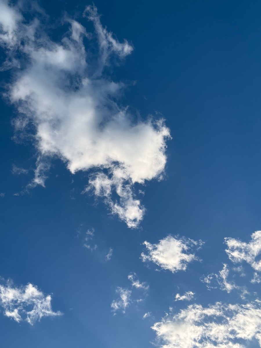 ShinobuSeguchi's tweet photo. 空の写真をよく撮るんだけれど周りからは自撮りしてるおっさんと思われてそうと気付いてぞっとするなど https://t.co/Tn2nbOQ0Mv