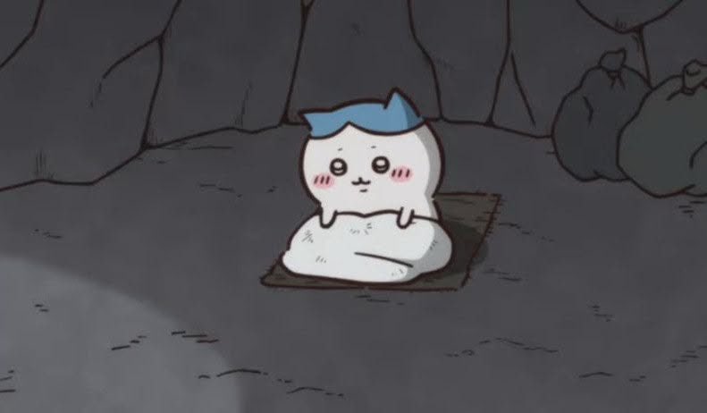 minsuhachi's tweet photo. 동굴 자가에 제초 5급 있는 고양이 이야기 https://t.co/cJDL8JBZ2L