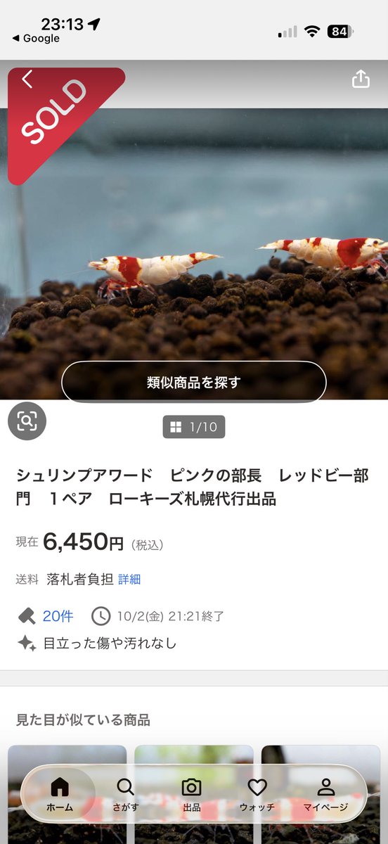 2qBTOyuOpy10019's tweet photo. シュリンプアワードお疲れ様でした🦐ローキーズ札幌店長さんの支援で無事に出品出来ました！
ブリーダーさんの綺麗なエビを見てモチベーションが上がりました！
また、ピンクのエビに沢山のウォッチ、入札を頂き本当に嬉しく、ありがたい気持ちです！！
ありがとうございました😭
#ローキーズ札幌 https://t.co/DhN4OQilwY