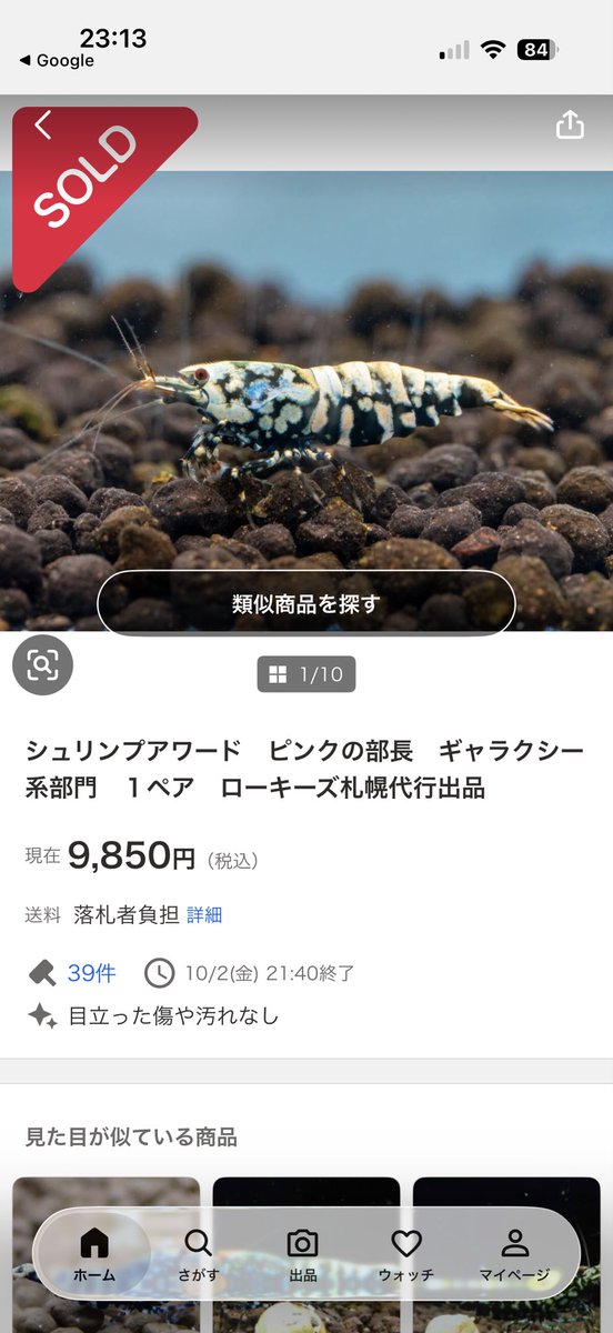 2qBTOyuOpy10019's tweet photo. シュリンプアワードお疲れ様でした🦐ローキーズ札幌店長さんの支援で無事に出品出来ました！
ブリーダーさんの綺麗なエビを見てモチベーションが上がりました！
また、ピンクのエビに沢山のウォッチ、入札を頂き本当に嬉しく、ありがたい気持ちです！！
ありがとうございました😭
#ローキーズ札幌 https://t.co/DhN4OQilwY