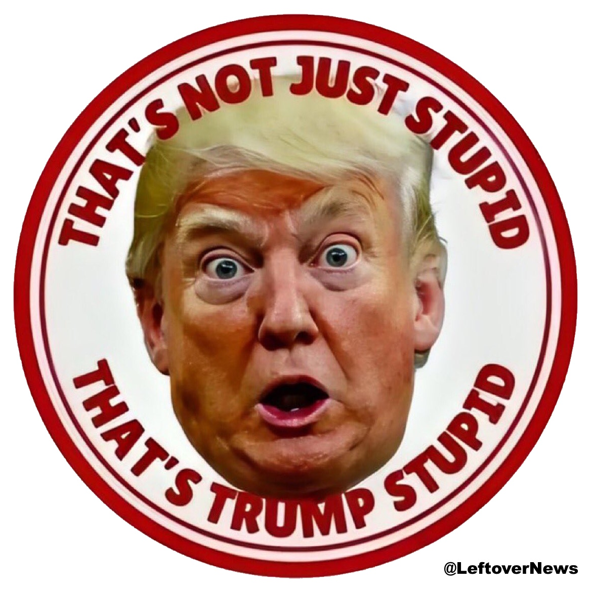 LeftoverNews's tweet photo. @GuntherEagleman Don't be #TrumpStupid, #VoteBlue https://t.co/0MIMNlEfPa