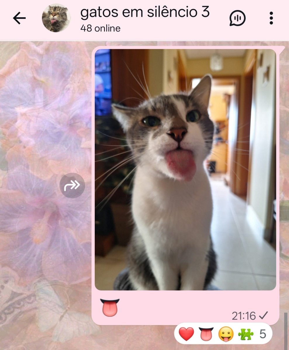 bIue_spring7's tweet photo. Chamaram meu filho de autista no grupo de gatos em silêncio 3 https://t.co/OX7BXnTKOO