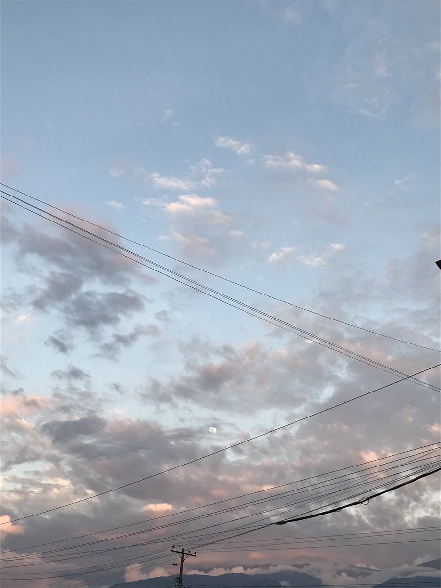 ussh1991's tweet photo. 🏠 https://t.co/ywJwsyhBn4