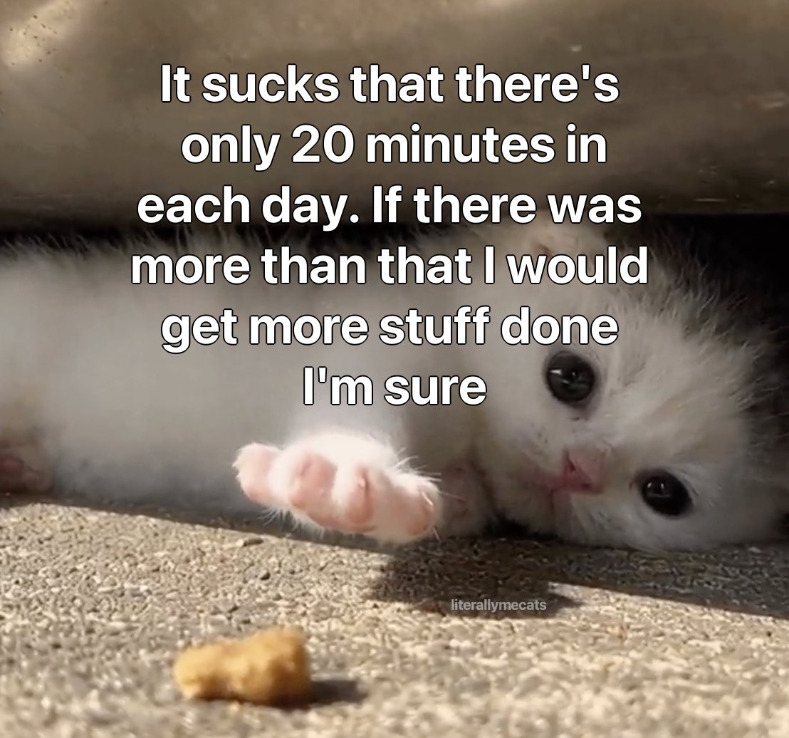 literallymecats's tweet photo. https://t.co/YevguRqdYj