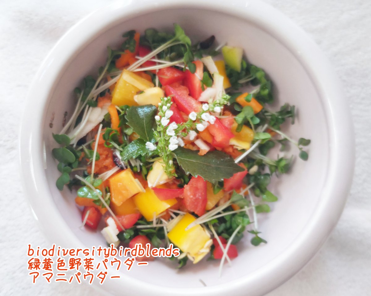 Sierratan's tweet photo. サラダ🥗
#寧フォレイジング #foraging #フォレイジング #採食エンリッチメント
今日こそは野菜買いに行く…!🛒 https://t.co/aeK9EnHYEH