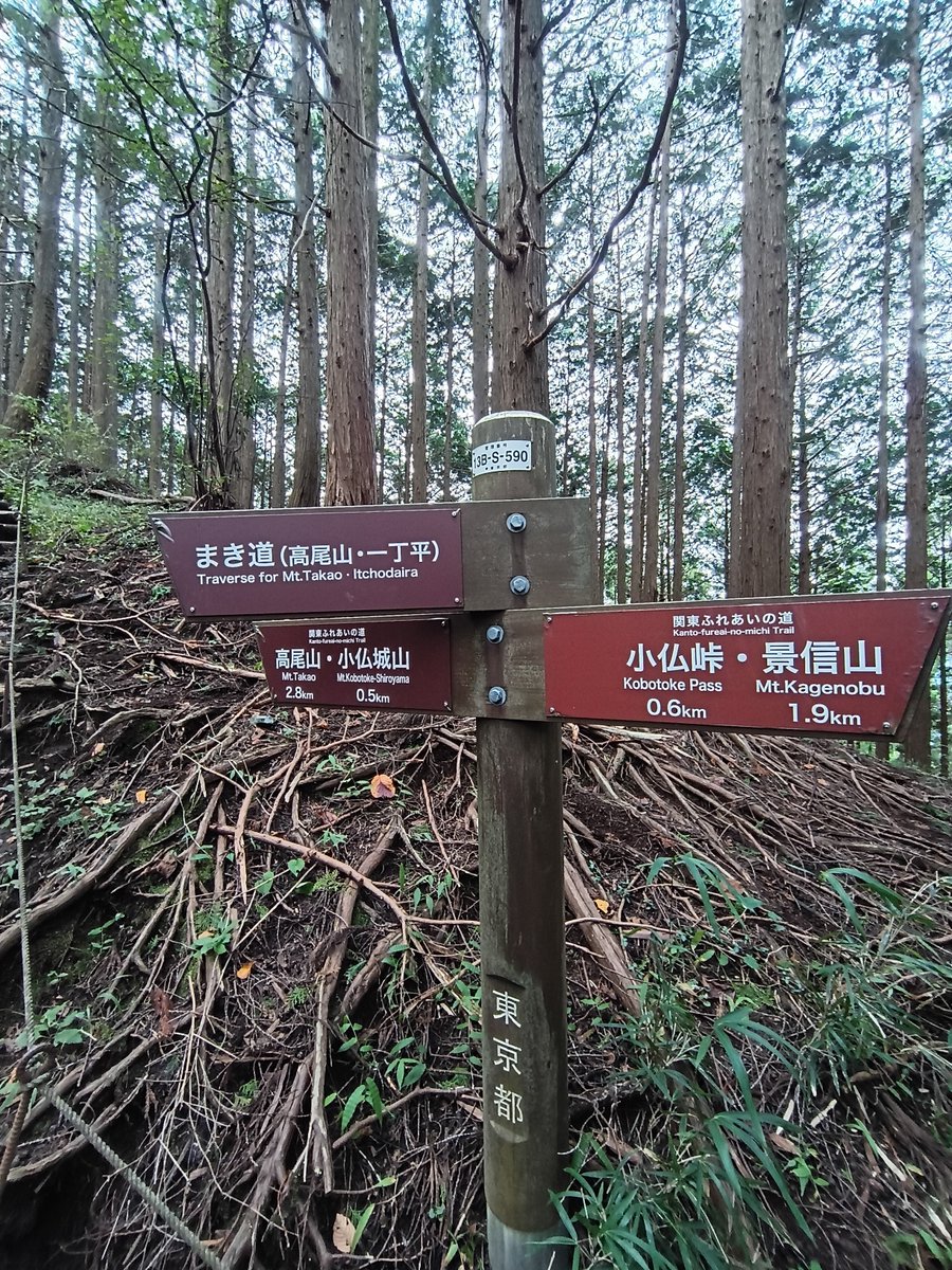 roseicollis4's tweet photo. 巻き道復活してたのね https://t.co/VPxVn8oKur