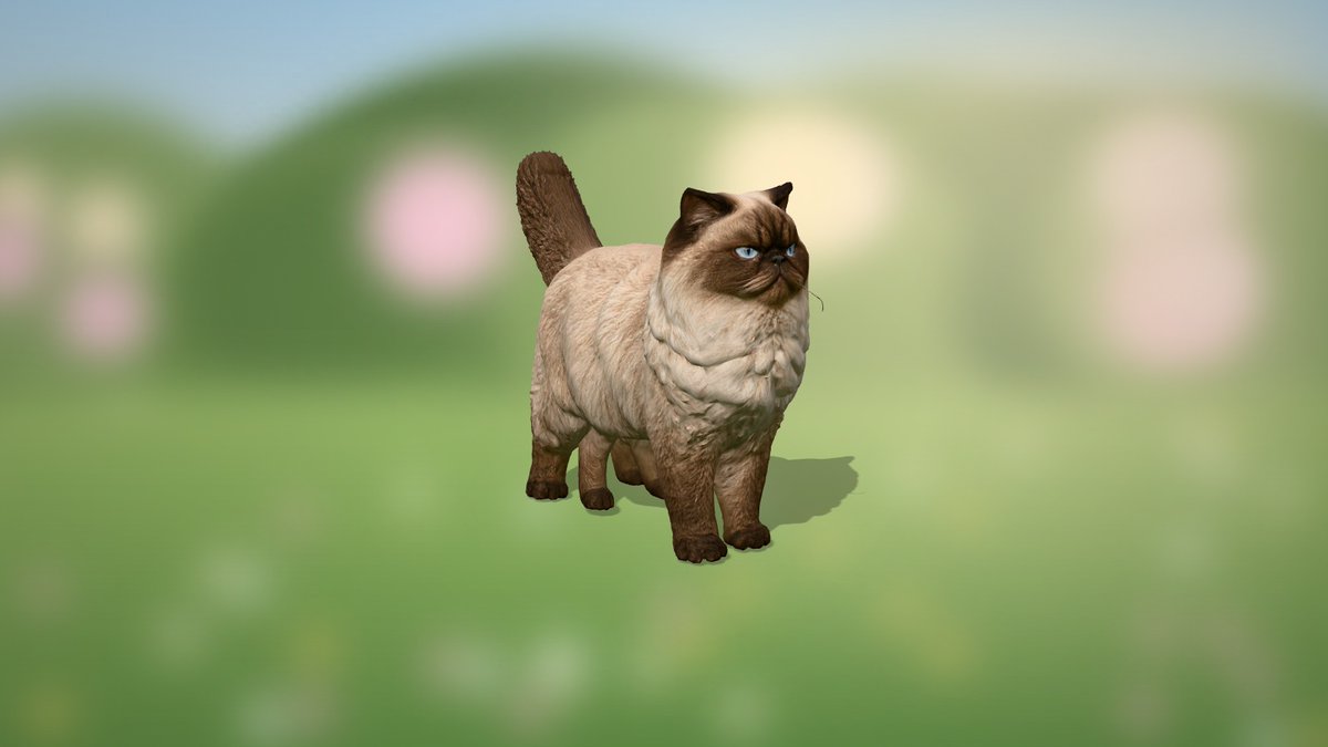 catcosanctuary's tweet photo. 🐱✨ Say hi to Mr. Jinx!
👑 The famous cat of Meet the Parents
📜 Mr.
👀 As seen in @SmithsonianIMAX's post
🎮 + its in-game look in the garden 🌿
🔓 No coin yet: be the first to adopt it 👇
https://t.co/rUJeHwEFvU
#catcoin #CatsOfX https://t.co/PmzAkMueaG