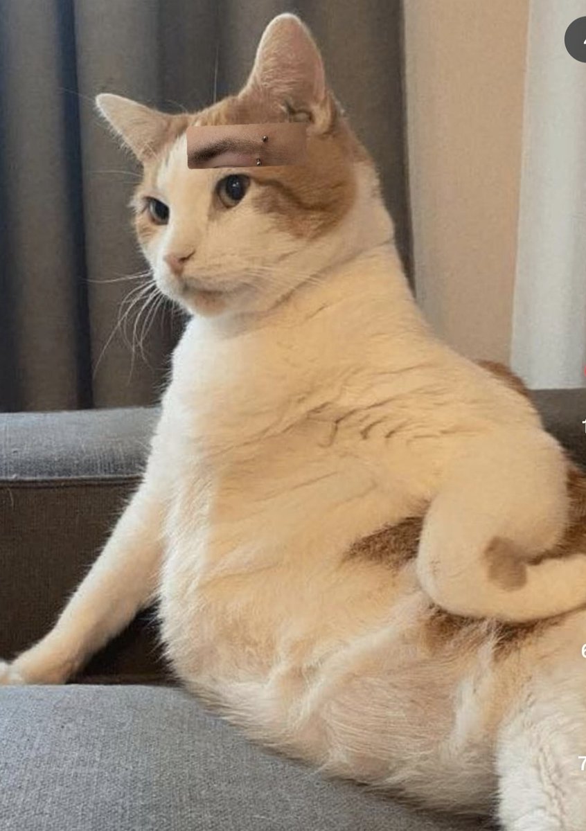 masterragondin's tweet photo. Si au lieu de Jeff Goldblum et d'une mouche, c'était Horty et Pouic qui rentraient dans le téléporteur https://t.co/TK5rFQVauG