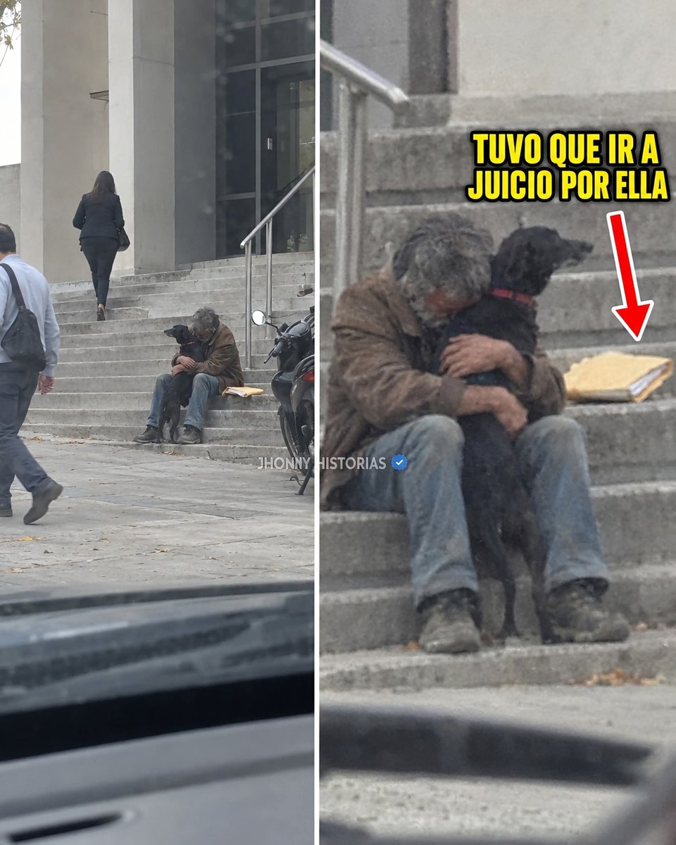 lilianadeteresa's tweet photo. A don Eulalio le quitaron a Morena unos «animalistas», y para recuperarla tuvo que ir a juicio.

Soy la abogada que lo representó, sin cobrarle. Estas fotos las tomé desde mi carro, afuera del juzgado, el día que se la regresaron.

Don Eulalio vive en la calle desde que perdió el trabajo en la fábrica. Morena es una perrita negra que duerme con él en el mismo cartón, tapada con su chamarra. Él come lo que sobra; ella come primero. 🥺

Una mañana llegaron tres de una asociación, le tomaron fotos y se la llevaron en una jaula. «Usted no puede tener un animal así, señor.» Qué bonito cuidan a los animales, quitándoselos al único que los quiere. 😡

Don Eulalio se quedó cuatro meses sentado afuera de su oficina. Todos los días. 💔

Fuimos a juicio. El juez vio que Morena estaba sana, vacunada y gorda. Ganamos.

La gente que vio su historia juntó más de cien mil pesos. Ya renta un cuarto con baño.

Morena tiene su camita nueva en el cuarto. No la usa.

Duerme en el cartón, junto a la cama de don Eulalio, tapada con la chamarra. 🙏

De: JhonnyHistorias Perros De Barrio. HistoriasReales,Injusticia Amor Animal📸