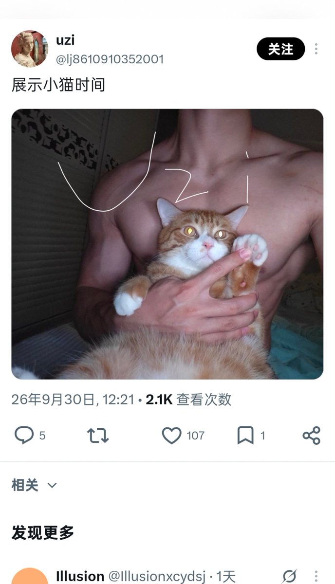 OverloadHcf's tweet photo. 偷点没打水印的旧图就算了，小猫也偷😄 https://t.co/jsVWcTNxyg