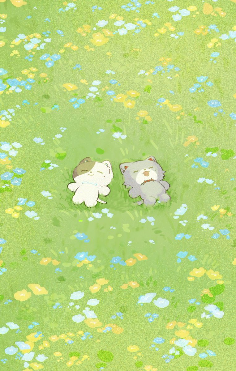 l9_9lg's tweet photo. おひるねたうん https://t.co/ZYfFXFV33k