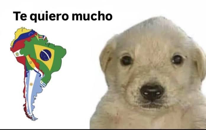 hyyhjeons's tweet photo. las amo hermanas sudamericanas, no volvamos a pelear nunca más https://t.co/xwCuH2ANJ0