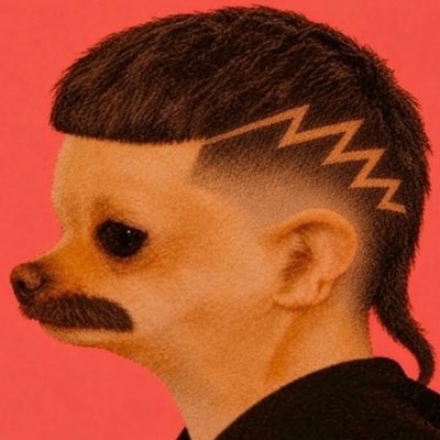 1MullettMan's tweet photo. #NewProfilePic https://t.co/ECq70cYYqA