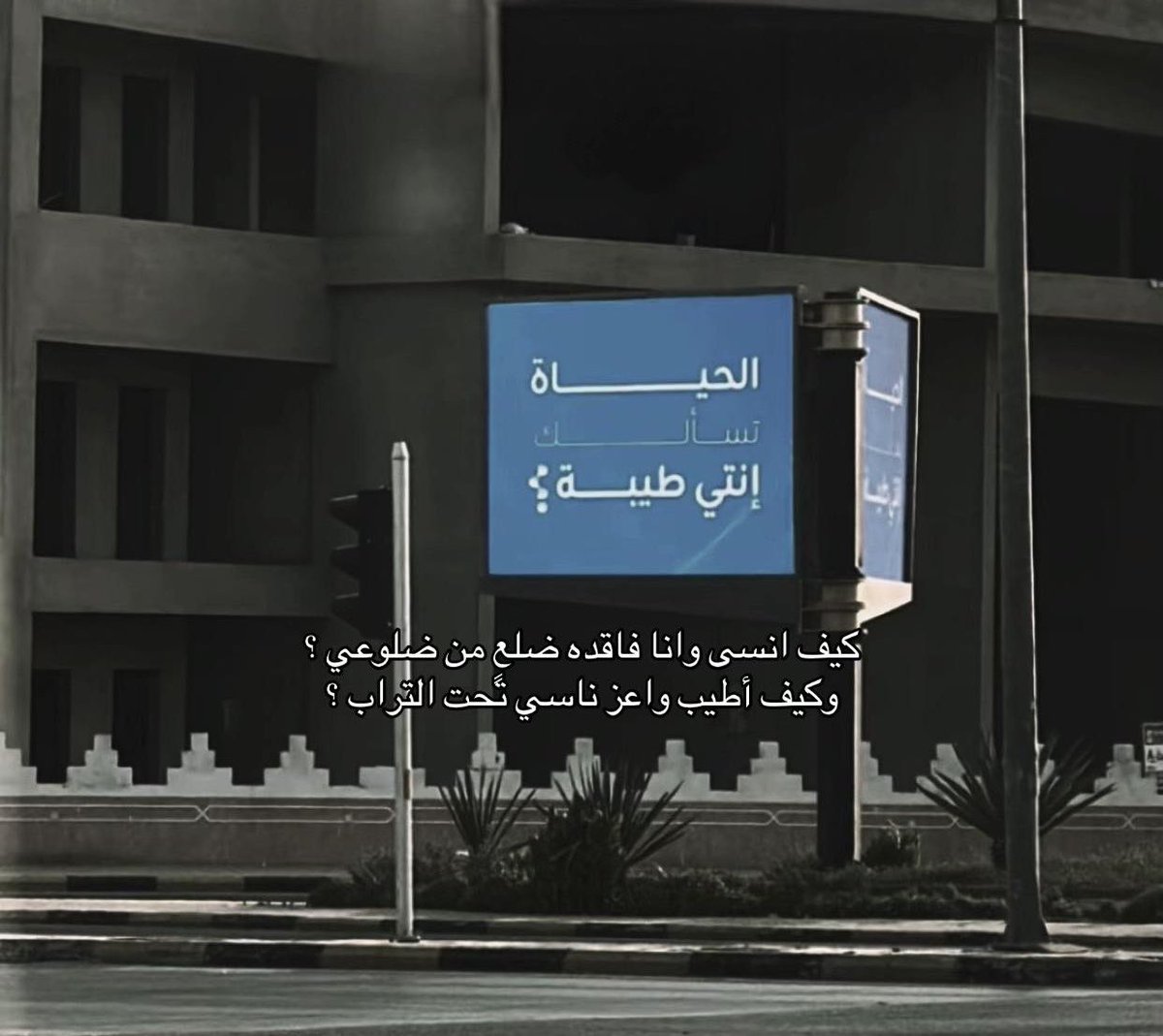 1liyir1's tweet photo. ترا فقدك اثقل من جبال الهداء والنير
جداي اصفق الكفين واجاذب ألونه  .. https://t.co/jwu5IqqE0K