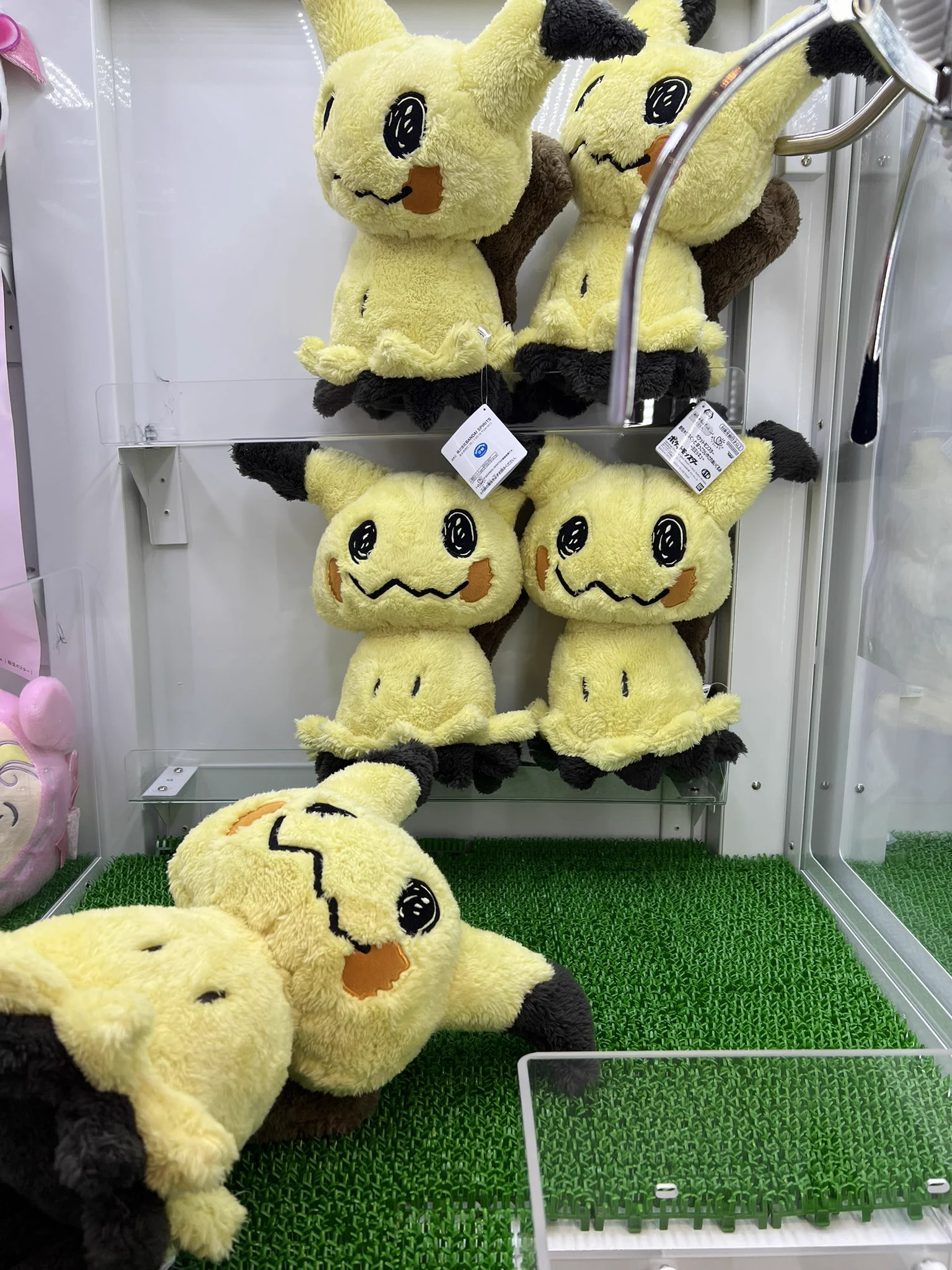 TSUTAYA八戸ニュータウン店 情報 on X: 