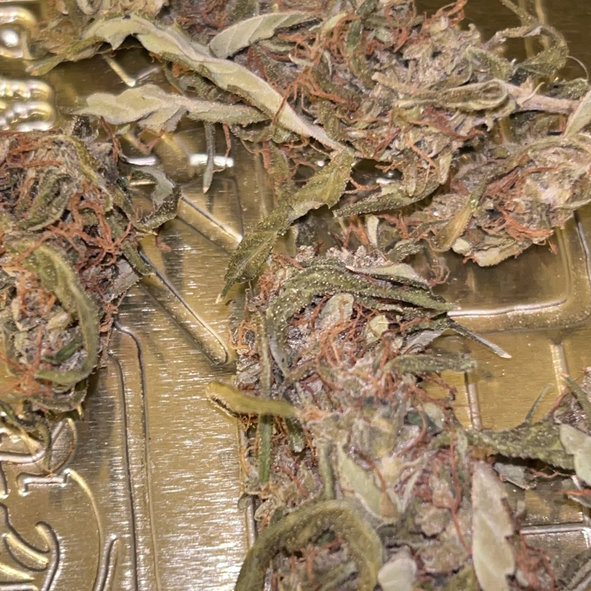 biisdiary's tweet photo. #stonertwt #weedtwt https://t.co/bxQdYeLQk1