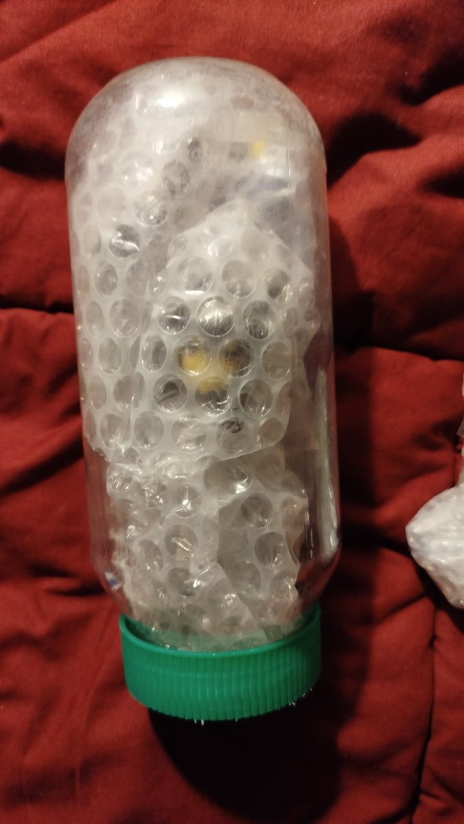 terit00's tweet photo. I had to put my Admire Vega figurine inside a jar for safe traveling reasons and I got jumpscared by remembering the Rainbow dash jar incident 😭

Don't worry Ayabe, I'm not that type of trainer https://t.co/dcHceApqgf