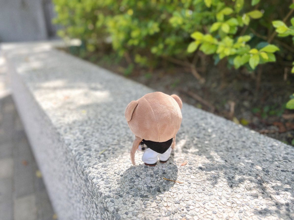 Furugoods's tweet photo. ち���さなくまさんのおさんぽ 🧸🌿 https://t.co/HFvvhT48PB