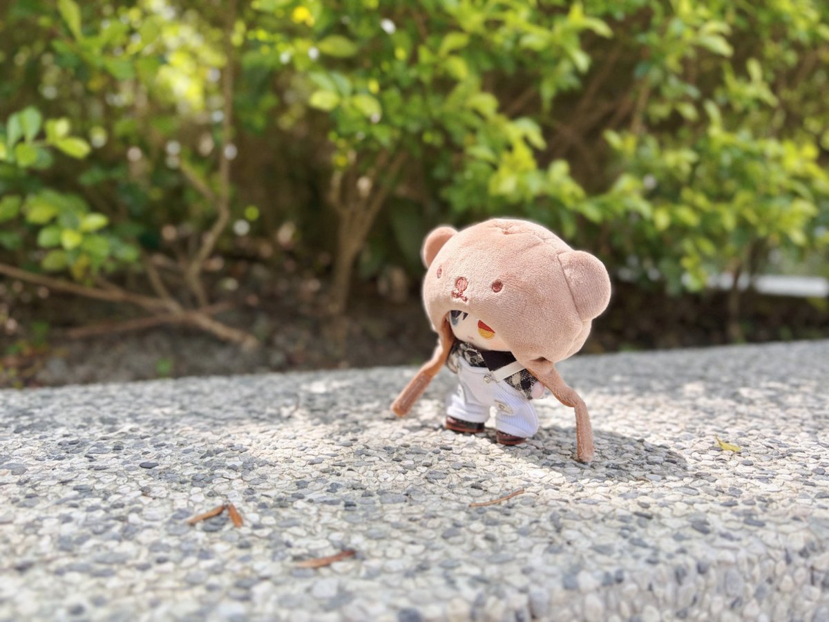 Furugoods's tweet photo. ち���さなくまさんのおさんぽ 🧸🌿 https://t.co/HFvvhT48PB