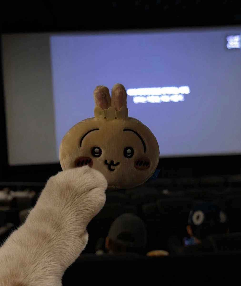 damgome10's tweet photo. 치이카와 영화보러 옴! 
인어섬 마코는 수주로 주문해서 가챠 우사기와 함께 https://t.co/OizONH0aAm