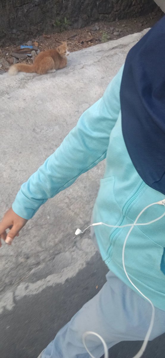 jenoupsi's tweet photo. day 1 🚶‍♀️🚶‍♀️🚶‍♀️🚶‍♀️ https://t.co/cxckElG2i2