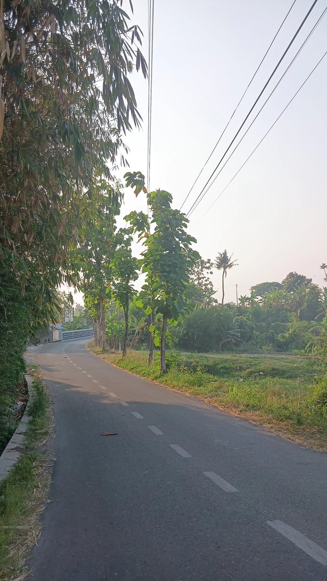 jenoupsi's tweet photo. day 1 🚶‍♀️🚶‍♀️🚶‍♀️🚶‍♀️ https://t.co/cxckElG2i2