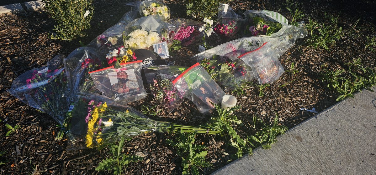 AmusingLuis's tweet photo. dropped flowers where Pac was last found. still so sad to think about it. #RIP https://t.co/nZJSzMzMoc