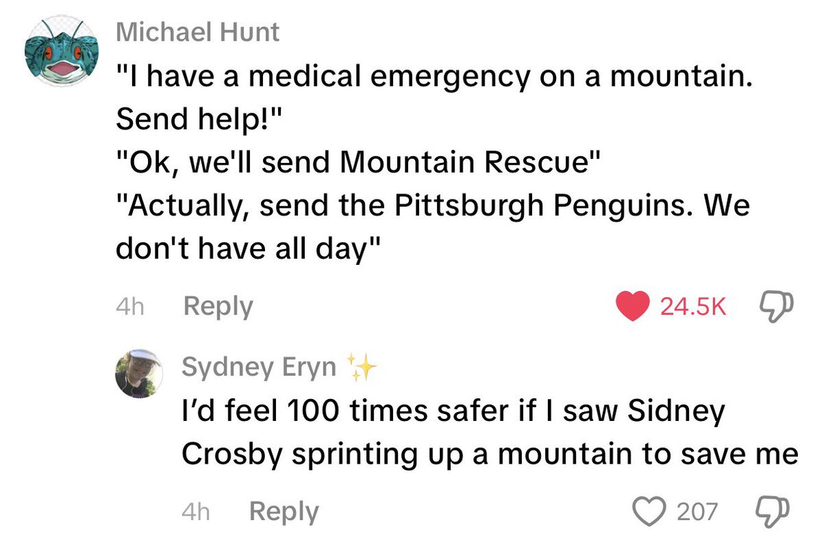 spelunky_'s tweet photo. tiktok comment section remains undefeated https://t.co/7PKWn4d9zz