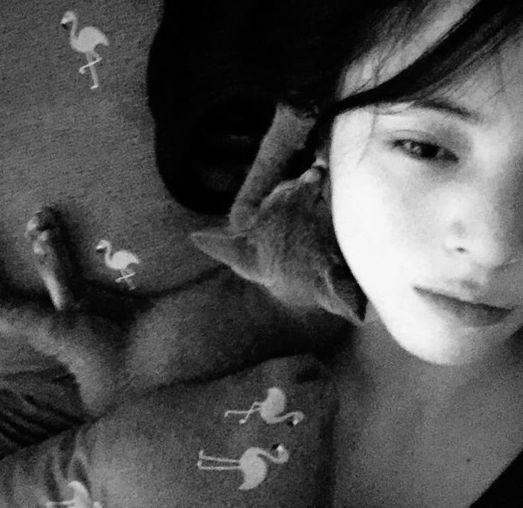 xoxeey's tweet photo. good morning errr one, 
please say hi to my eepy cat. https://t.co/oPSgGJ6vsV