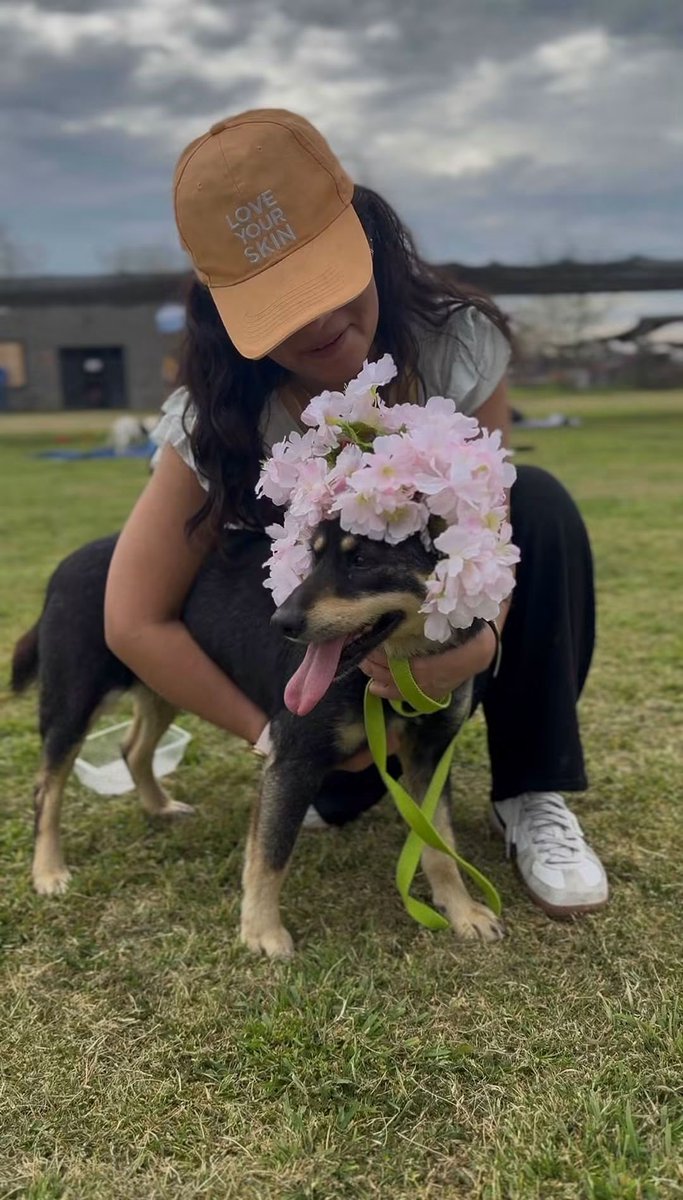 elcampito's tweet photo. Ellos son solo algunos de los camperitos que esperan una oportunidad! 🌸
Que esta temporada lleguen familias como la tuya, que estás viendo del otro lado.

Aquí están Belice, Bethoveen, Tomasa y Megan. 💫

Enamorate y escribinos a adoptantesdelcampito@gmail.com 🧡 https://t.co/kavEvScPjI