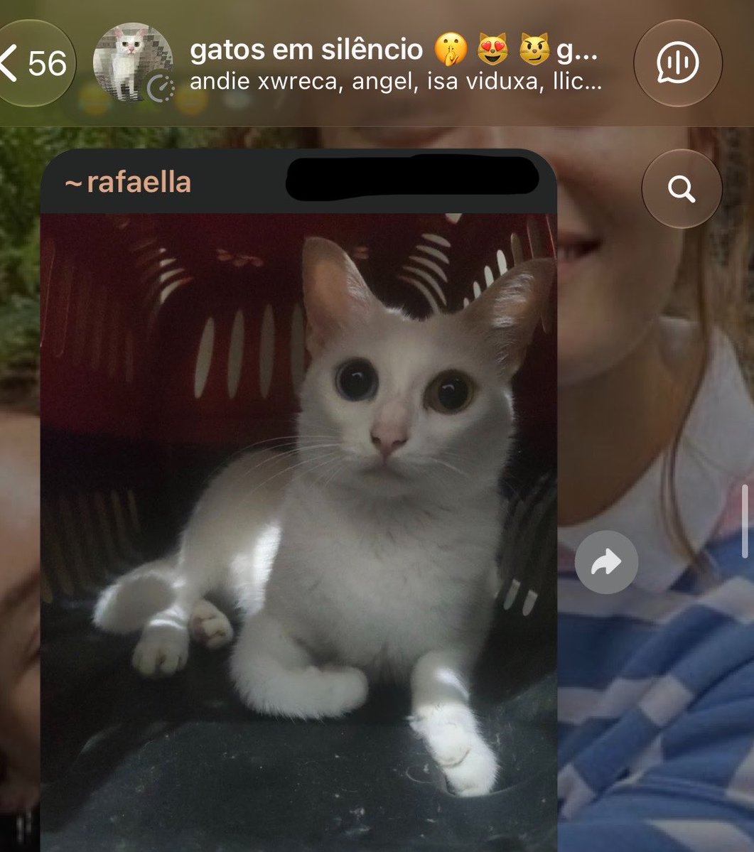 twdtelltales's tweet photo. GATA ELLA PURNELL AVISTADA NO GRUPO GATOS EM SILÊNCIO https://t.co/ZXTS8Lj2v8