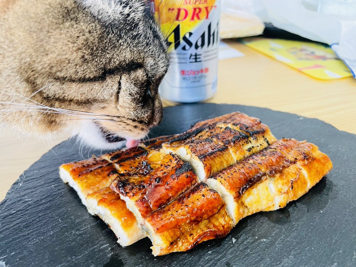 nek000gohan's tweet photo. ちょっと早いけど始めてくよーっ https://t.co/BHAi4M1wAo