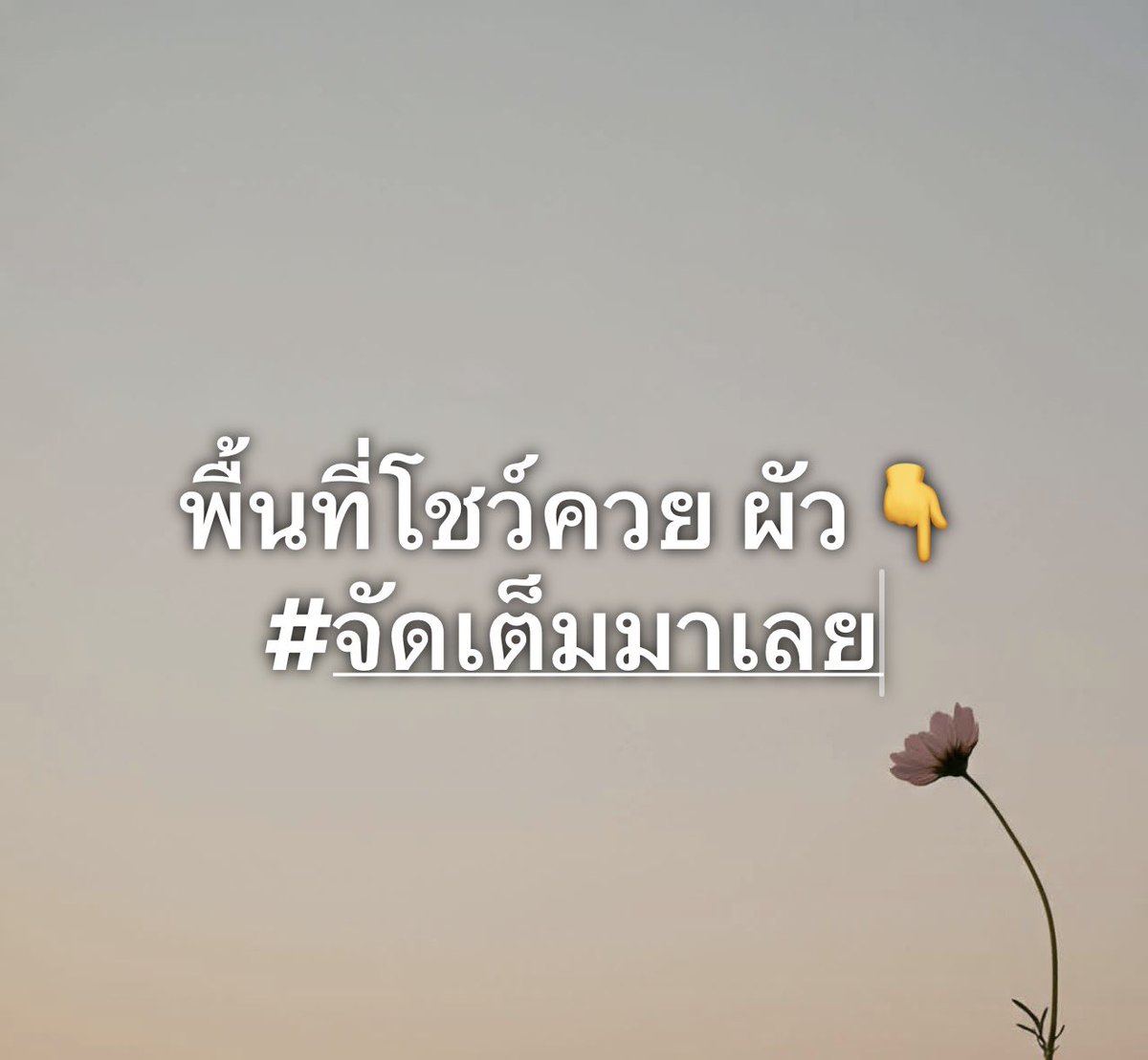 Goods1412633's tweet photo. สาดไปคะสมาชิก อิอิ https://t.co/j8nr0zLvRJ