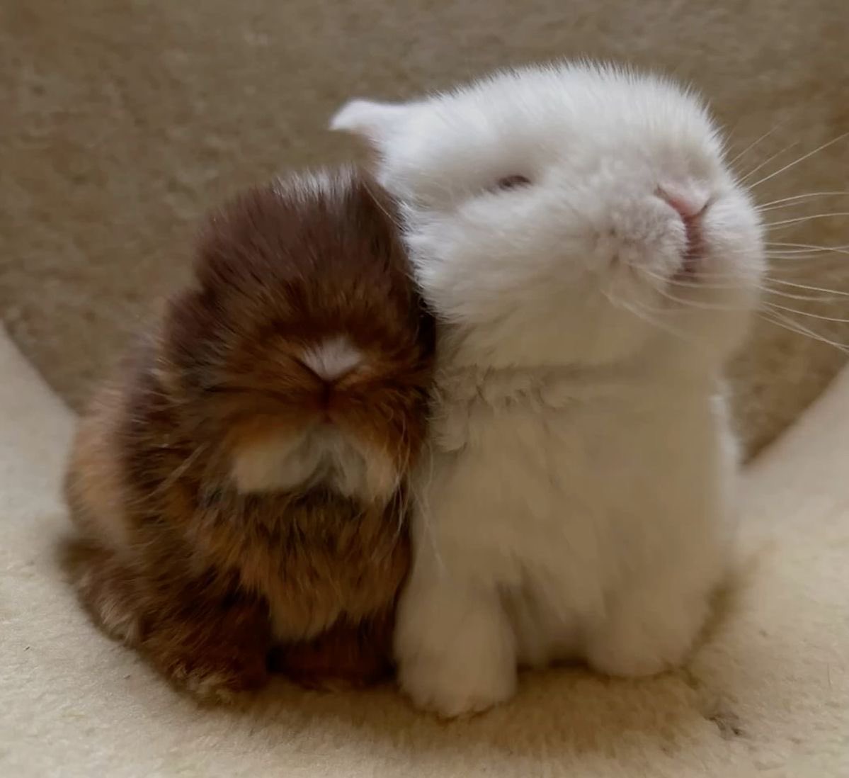 thejoyibc's tweet photo. <3 https://t.co/AhEcYucYrs