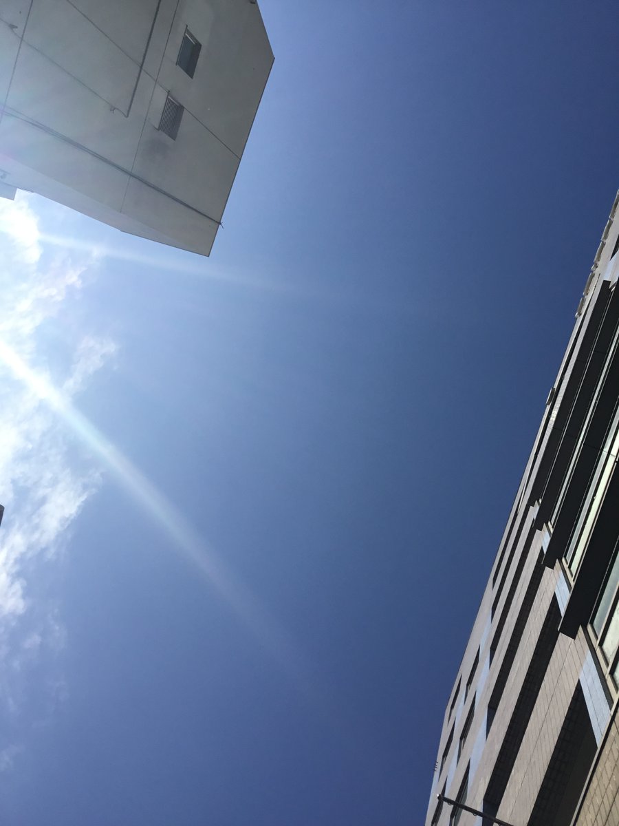 daikokuya2016's tweet photo. おはようございます！
本日の静岡市は晴れております🌤

朝は風が冷たくて陽射し以上に涼しく感じました！
今日の気温はお出かけ日和ですね！
家族でお出かけされる方もお仕事の方も暑さ対策はしっかりして過ごしましょう！

本日も元気に営業しております！

#イマソラ #企業公式相互フォロー https://t.co/sdtMVuZzVV