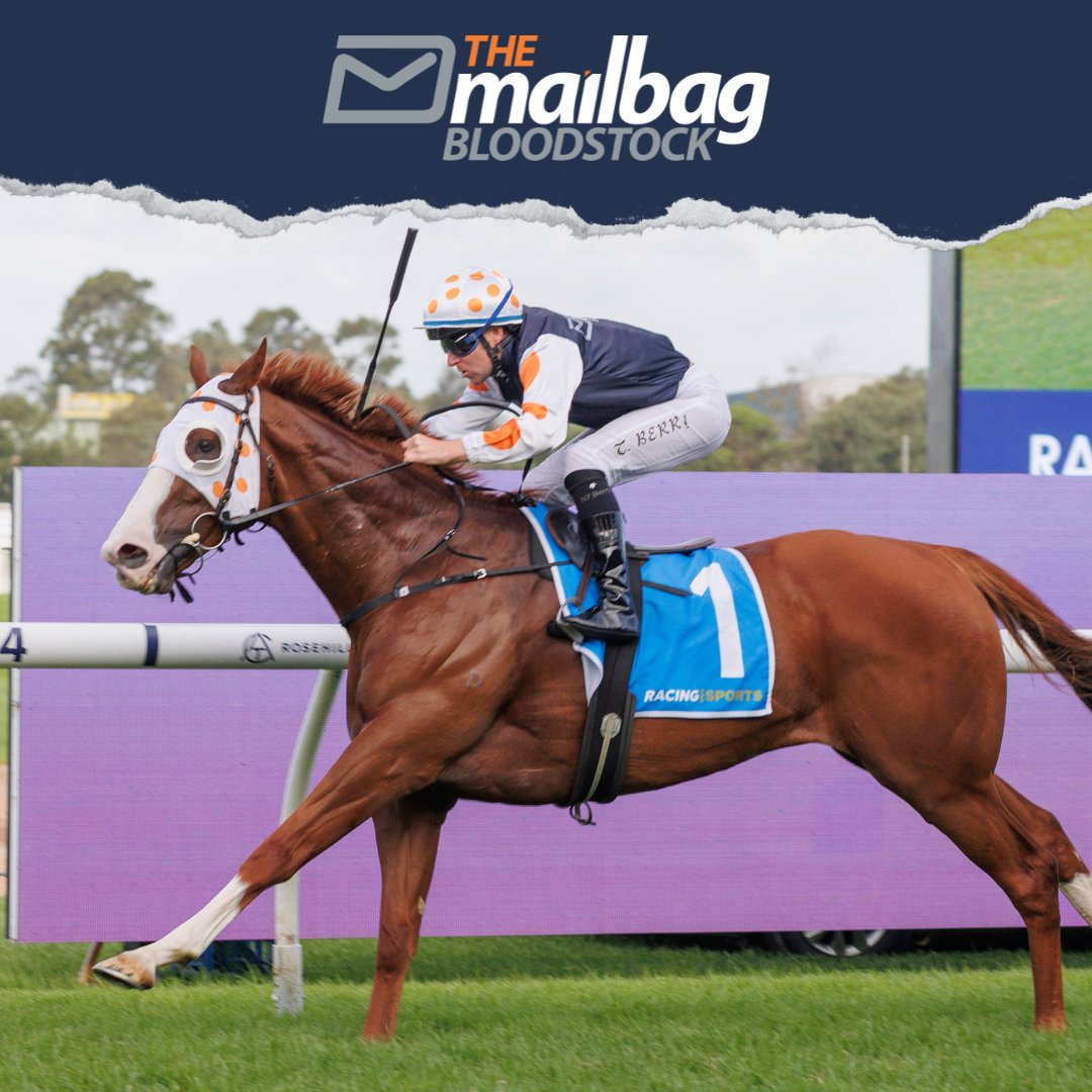 TMBBloodstock's tweet photo. #JustFolk heads to a very wet Flemington (R10) today. Hopefully the meeting goes ahead, as he gets conditions he absolutely loves and heads into the race in excellent form. He has had a decent gap between runs and he drops back in distance, but provided he gets to race today, we expect him to run another very competitive race.

It’s also the exact race where our journey with him began 3 years ago.

Best of luck to the ownership group! 🤝