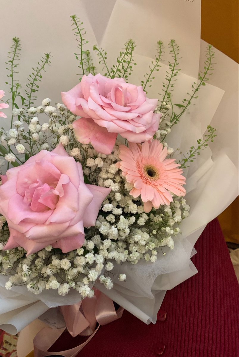 nazpkin's tweet photo. i ♡ pink roses https://t.co/T414w0TLf7