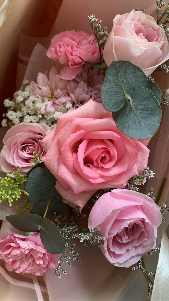 nazpkin's tweet photo. i ♡ pink roses https://t.co/T414w0TLf7
