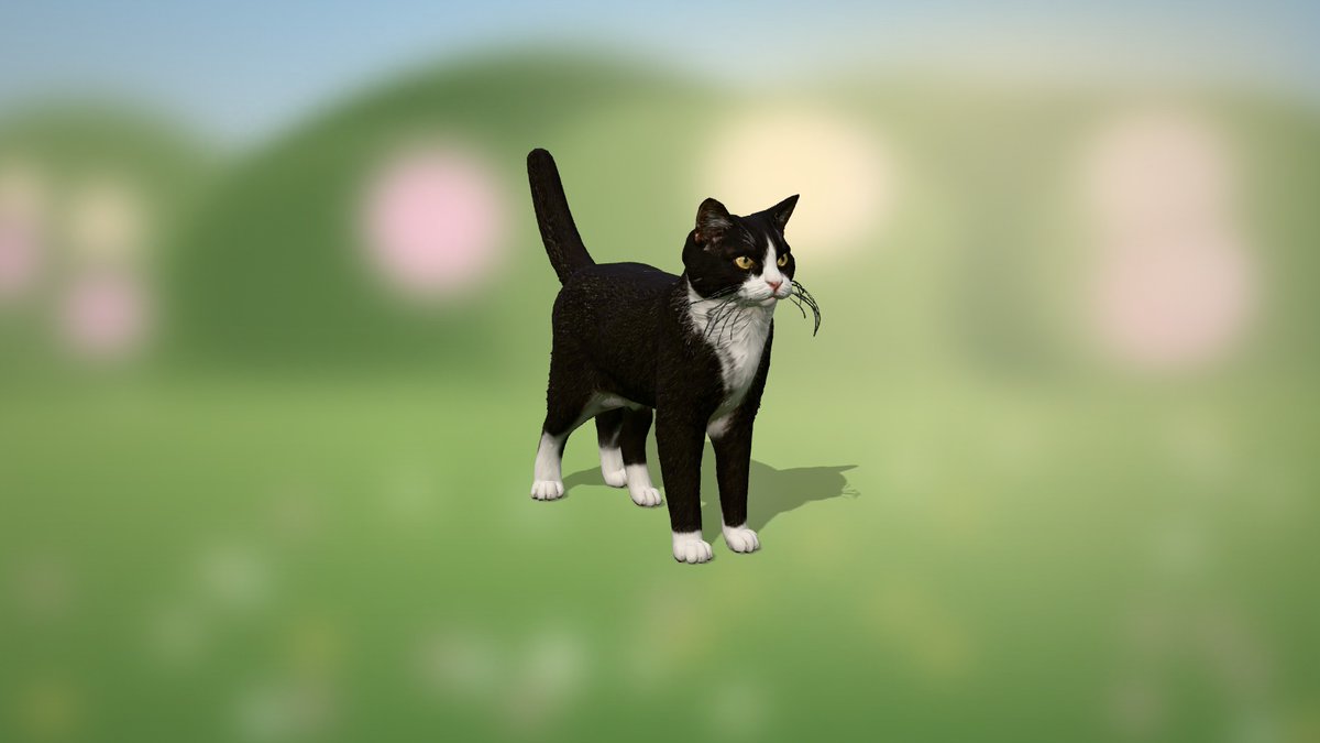 catcosanctuary's tweet photo. 🚀 NEW SANCTUARY COIN 🚀
😻 Professor Meowingtons PhD (PROFMEOW), launched by the sanctuary on PumpFun
Unofficial fan tribute from the Catcoin Sanctuary. Not affiliated with or endorsed by the cat's owners.
https://t.co/MH7JlW4oUC
#catcoin #CatsOfX https://t.co/2poMEJYuc8