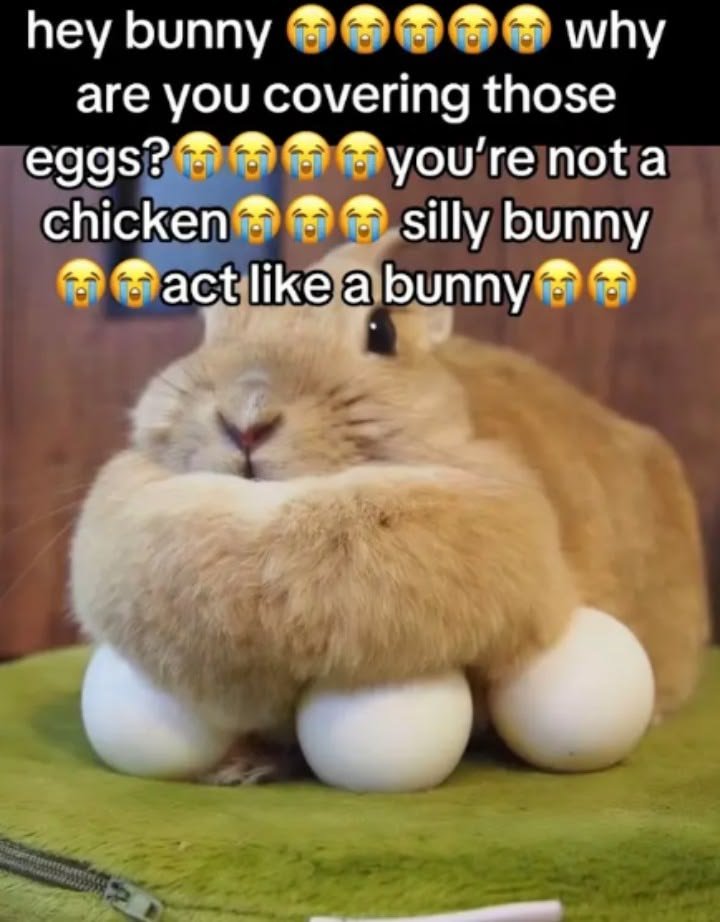animalpopular9's tweet photo. https://t.co/xdK2nmWCko