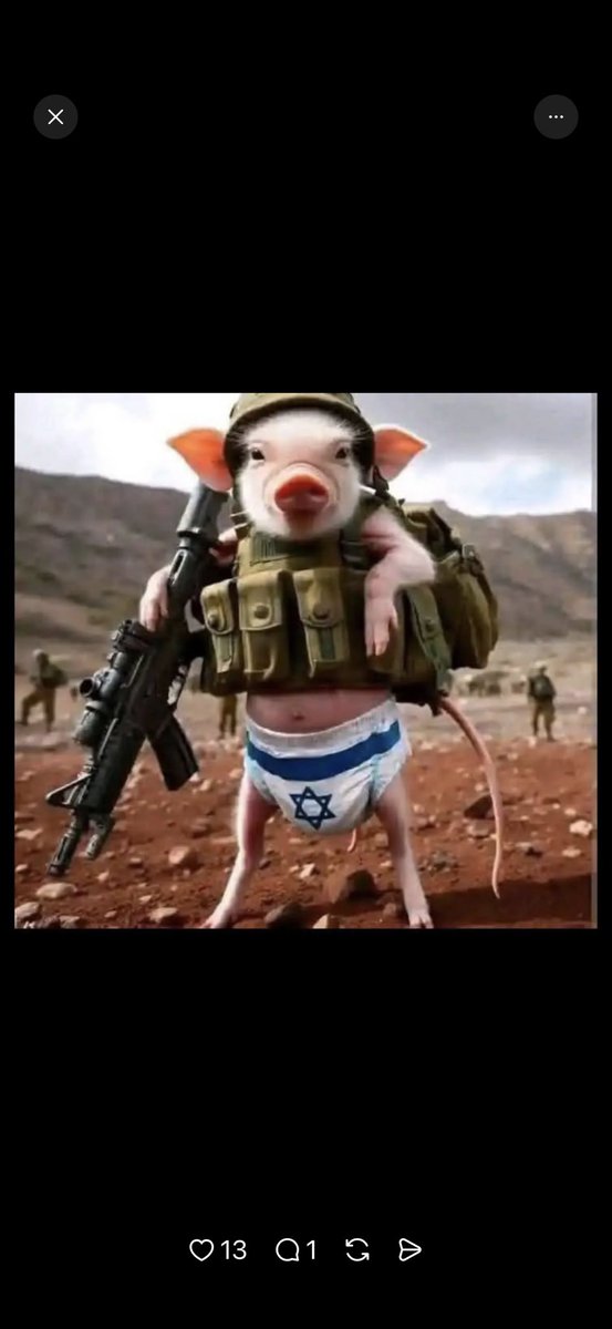 ThePaulaGallery's tweet photo. @SwissLiberty @shaialbrecht https://t.co/mG7pHcQhB6