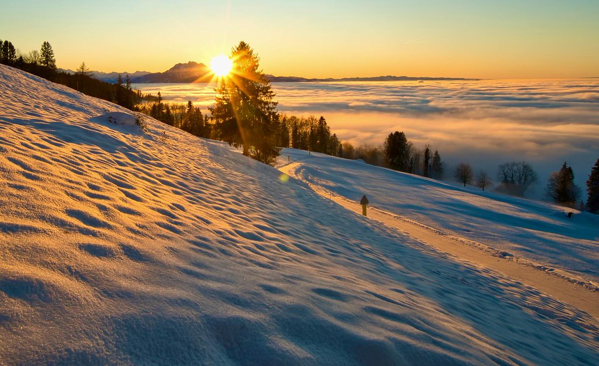 EllenBoothe's tweet photo. Winter Wonderland https://t.co/rF93IF1n7d