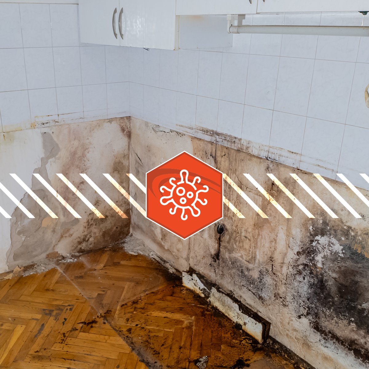 AdvantaCleanGA's tweet photo. In just days, lingering moisture and hidden leaks can invite mold and bacteria. Our mold specialists find the source, correct it and clear the growth to safeguard your home. #moldremediation #waterdamage #stormdamage #atlanta #norcross https://t.co/7VQI2BsiXJ