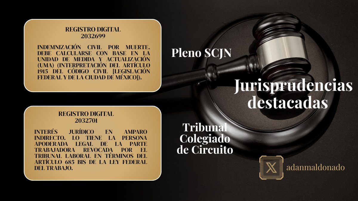 adanmaldonado's tweet photo. Es #viernes de #jurisprudencia y el #corpus #iuris lo sabe...

Me parecen relevantes dos, una del Pleno de la @SCJN y una de Tribunal Colegiado de Circuito, que enseguida cito:

Registro digital: 2032699

Registro digital: 2032701 https://t.co/GkNTy9AYqC