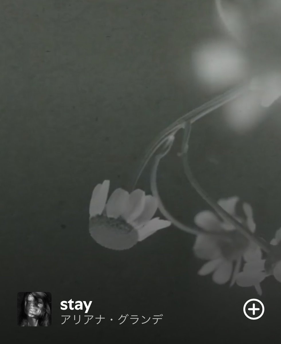 md_39z's tweet photo. アルバムではstayが好きすぎて一生聞いております https://t.co/kyREm8SFMG