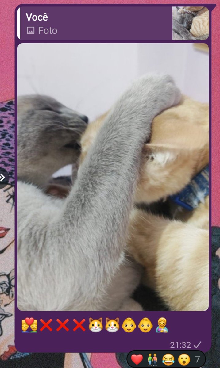 ittomitos's tweet photo. eu desesperadamente tentando avisar que os meus gatos não são gays e sim irmãos https://t.co/aIi29ZsuLp