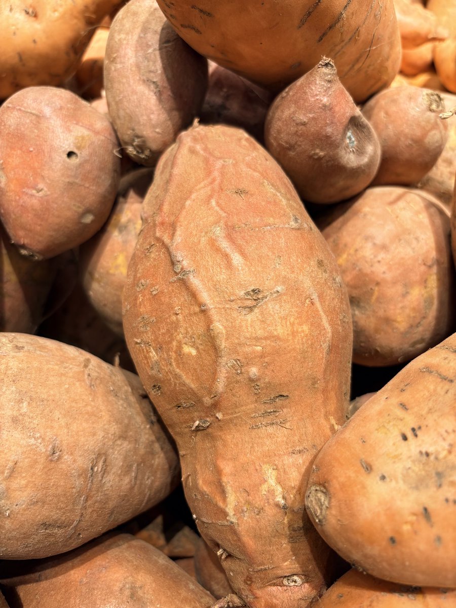 DLTrudelWriter's tweet photo. Why do these sweet potatoes look like they’re on steroids? https://t.co/fu7IWh6DyA